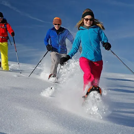 Апартаменты Gia Хаус-им-Энншталь