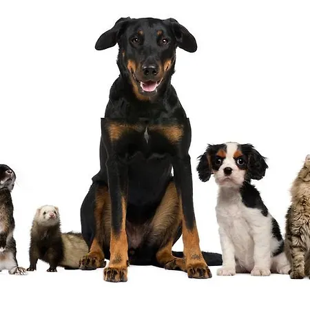 Апартаменты Gia